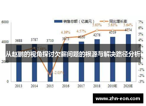 从赵鹏的视角探讨欠薪问题的根源与解决路径分析