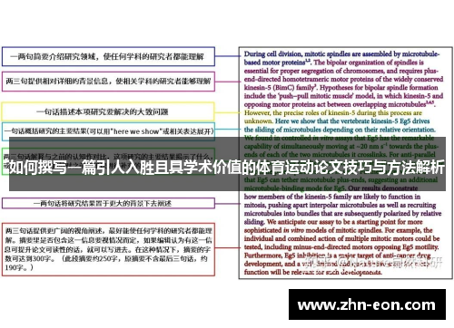 如何撰写一篇引人入胜且具学术价值的体育运动论文技巧与方法解析